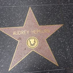 Walk of Fame. Los Angeles, CA