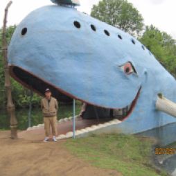 A bálnát egy helyi lakos, Hugh Davis építette a feleségének, Zeltának a 70-es évek elején, mert a feleség gyűjtötte a bálnafigurákat. Idővel kedvelt szabadidős hellyé vált a tóparti bálna.